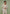 relaxed-fit-textured-belted-tailored-trousers-beige