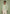suede-jacket-with-revere-collar-sage