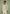 michel-suede-jacket-with-revere-collar-sage