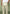 foldover-trousers-sage