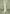 suede-jacket-with-revere-collar-sage