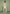 michel-suede-jacket-with-revere-collar-sage