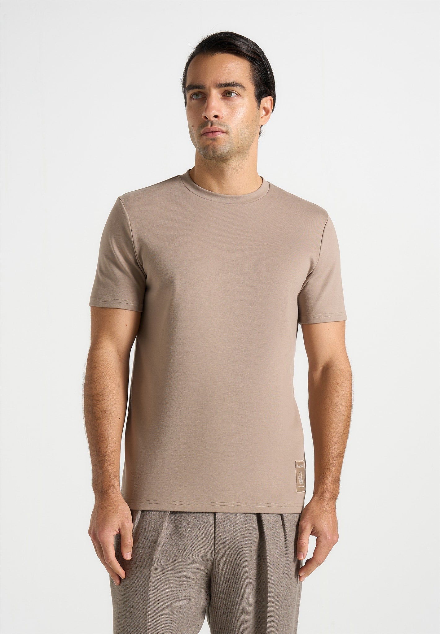 ts008-regular-fit-cotton-t-shirt-taupe