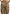 emilie-satin-high-waisted-cargo-pants-dark-olive