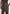 Serge - Relaxed Fit Leather Pleated Pants - Brown