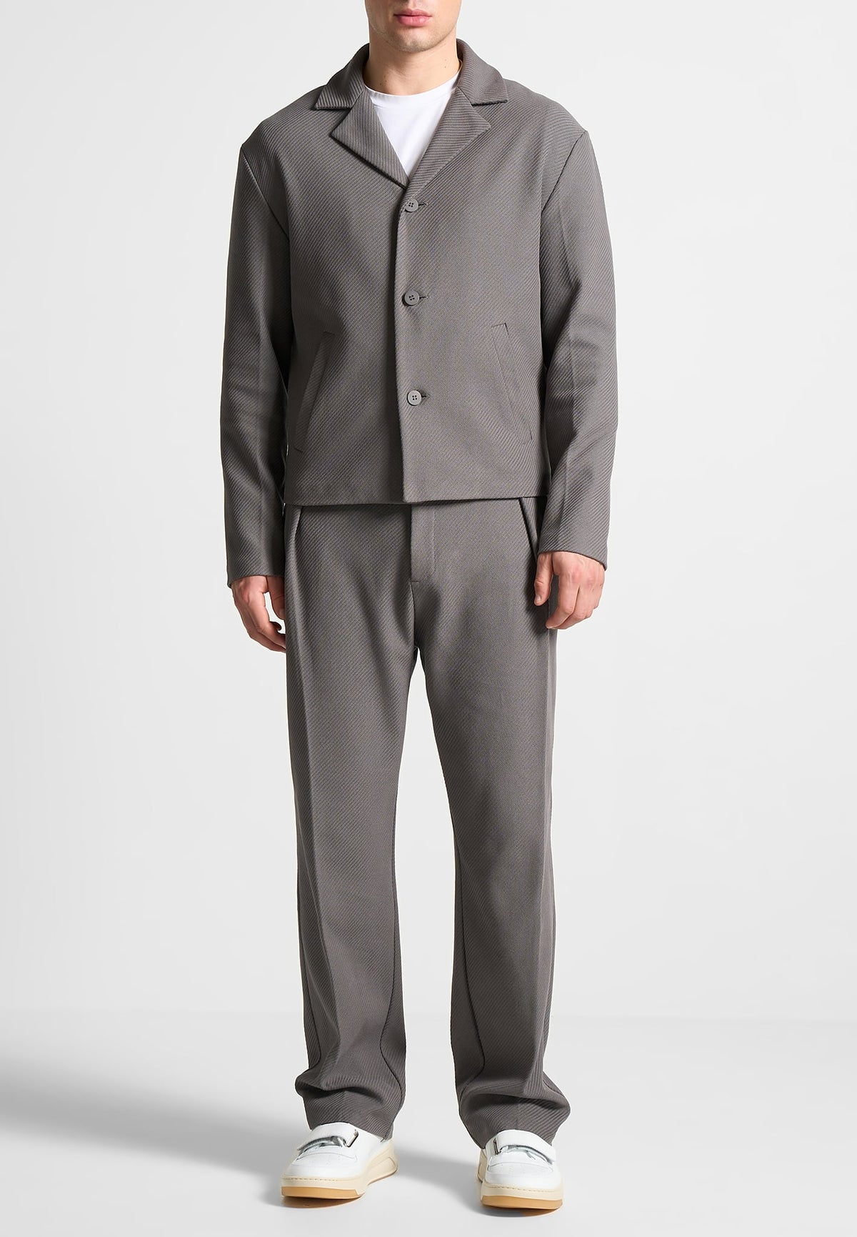 Relaxed Fit Twill Pleated Tailored Pants - Grey
