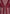 sheer-shirt-with-clasp-wine-red