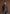 denise-suede-and-pebbled-leather-jacket-brown