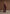 tailored-cinch-waistcoat-wine-red