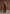 christine-tailored-cinch-waistcoat-wine-red