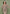 knitted-scallop-hem-playsuit-taupe