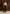 lelia-cropped-gabardine-trench-coat-with-belt-beige-brown
