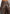 hazel-vintage-leather-wrapover-bermuda-shorts-brown